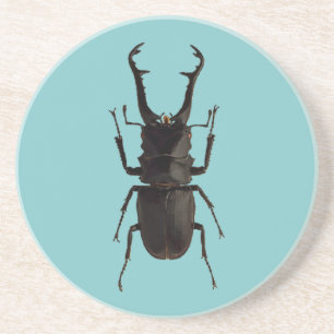 Stag Beetle Coaster