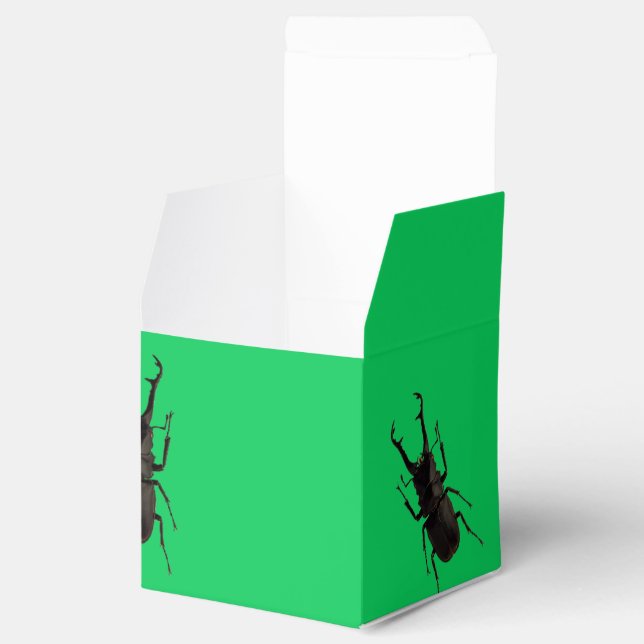 Stag Beetle Favour Box (Opened)
