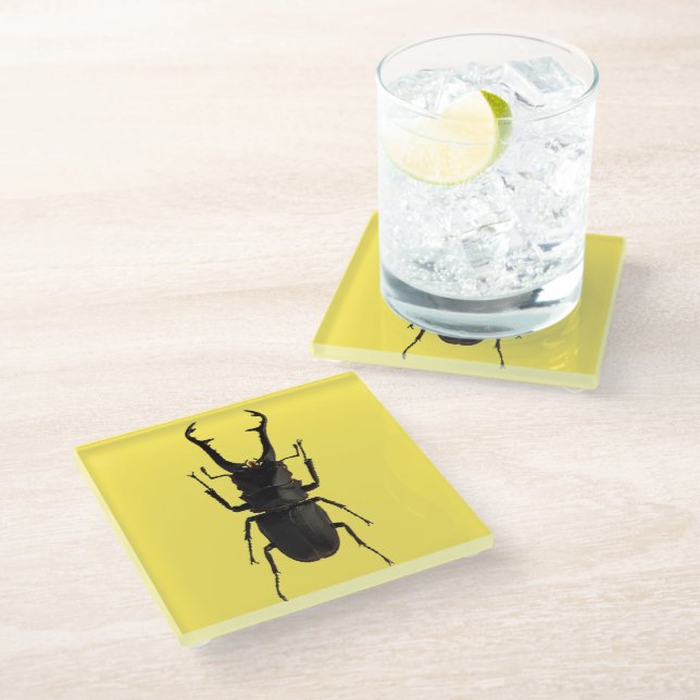 Stag Beetle Glass Coaster (Angled)