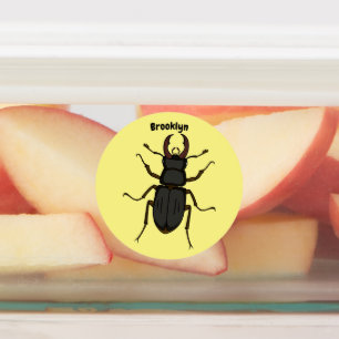 Stag beetle insect illustration