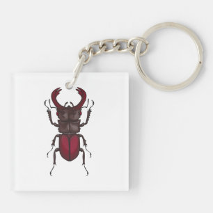 Stag beetle key ring