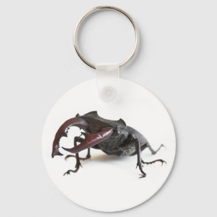Stag beetle key ring