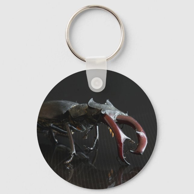 Stag beetle key ring (Front)