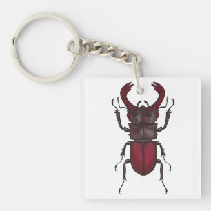 Stag beetle key ring