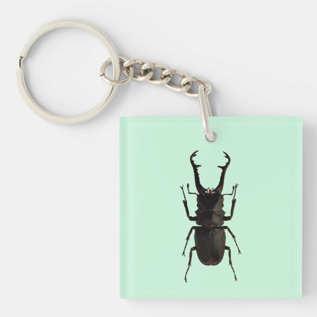 Stag Beetle Key Ring (Front)