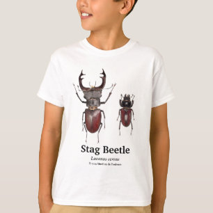 Stag Beetle,Lucanus cervus T-Shirt