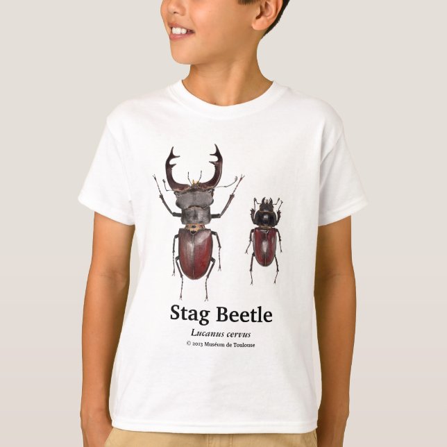 Stag Beetle,Lucanus cervus T-Shirt (Front)