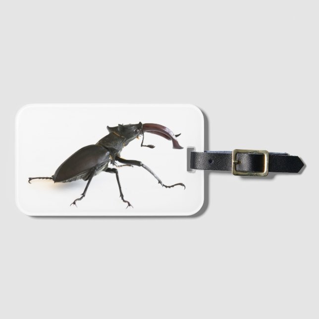 Stag beetle luggage tag (Front Horizontal)