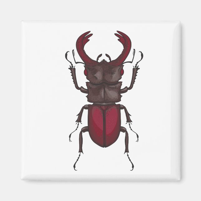 Stag beetle magnet (Front)