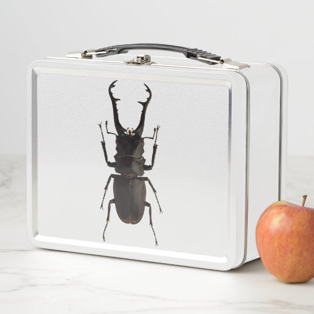 Stag Beetle Metal Lunch Box (In Situ)