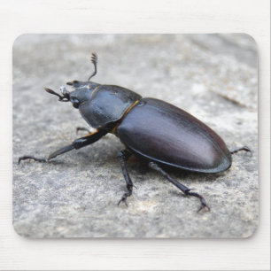 Stag Beetle Mouse Mat
