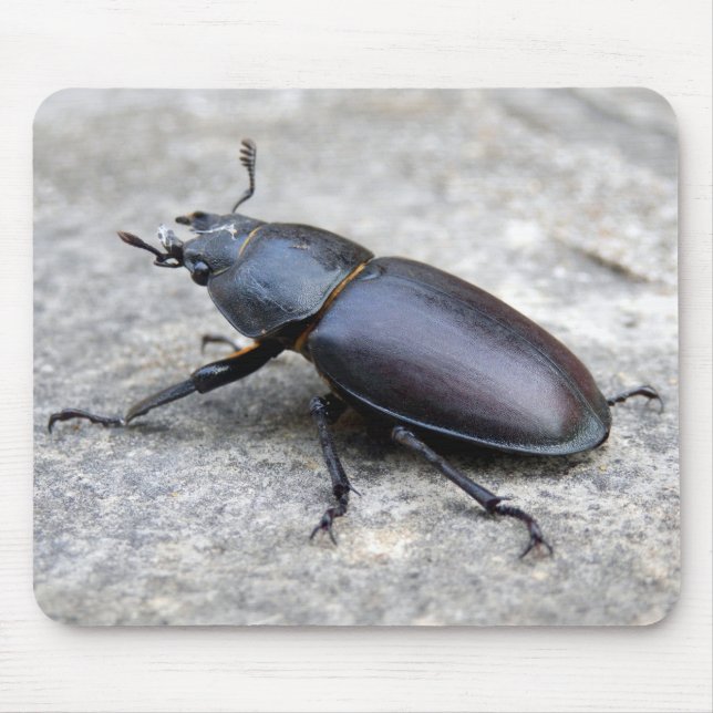 Stag Beetle Mouse Mat (Front)