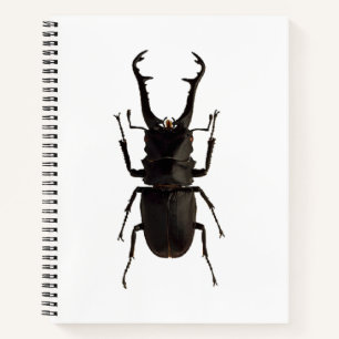 Stag Beetle Notebook
