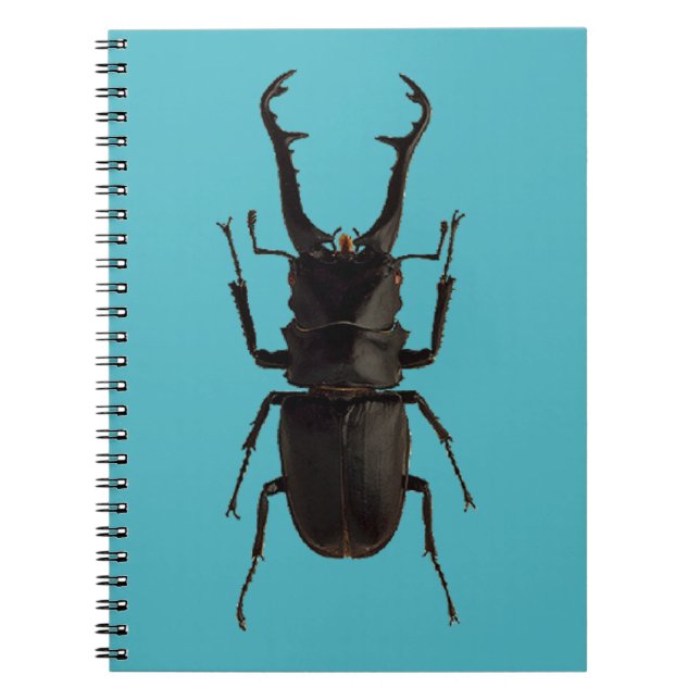 Stag Beetle Notebook (Front)