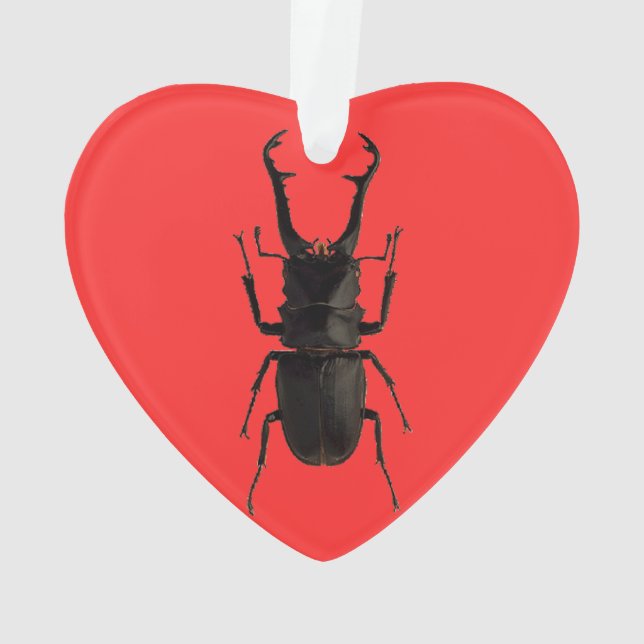 Stag Beetle Ornament (Back)