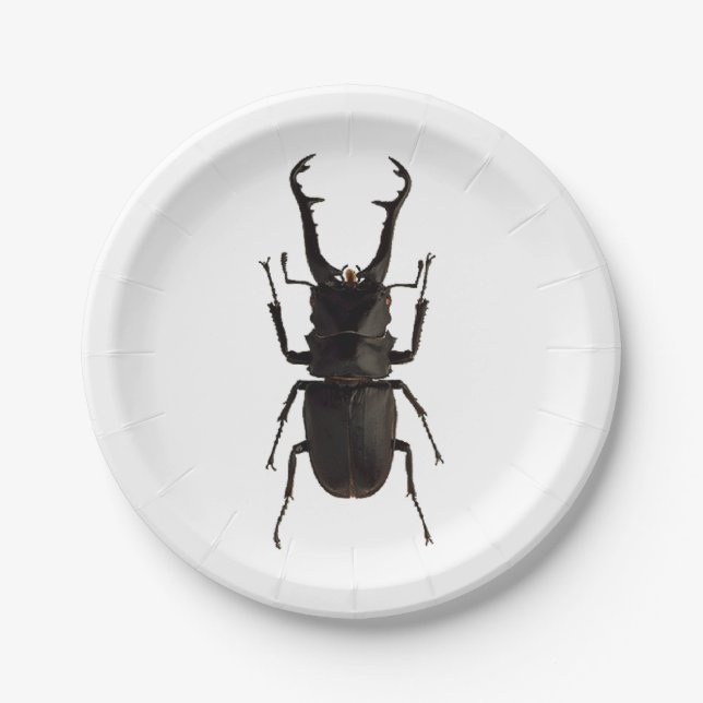 Stag Beetle Paper Plate (Front)