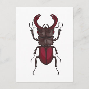 Stag beetle postcard