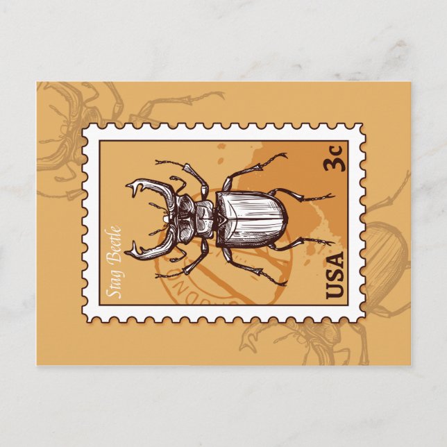 Stag Beetle Postcard (Front)
