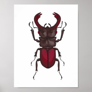 Stag beetle poster