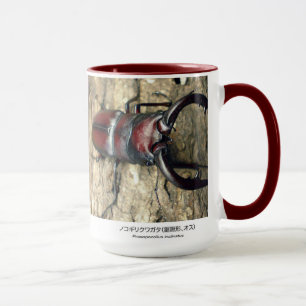 Stag Beetle,Prosopocoilus inclinatus Mug