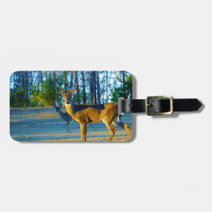 Stag / Buck  Deer, Bright blue Sky Luggage Tag