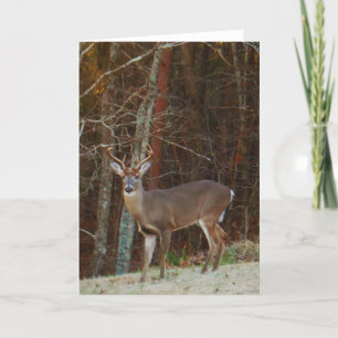 Stag / Buck  Deer Oak Camouflage Holiday Card
