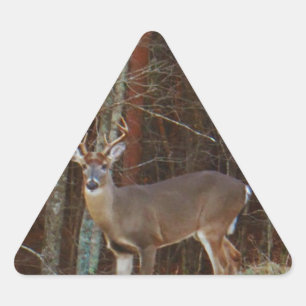 Stag / Buck  Deer Oak Camouflage Triangle Sticker