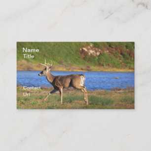 Stag Business Cards