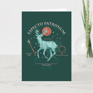 Stag Expecto Patronum Graphic Card
