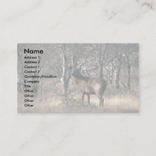 Stag in forest business card