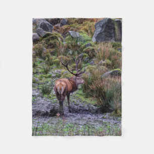 stag photograph blanket