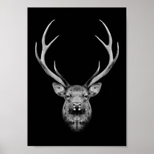 Stag poster