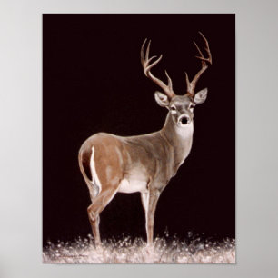 STAG POSTER