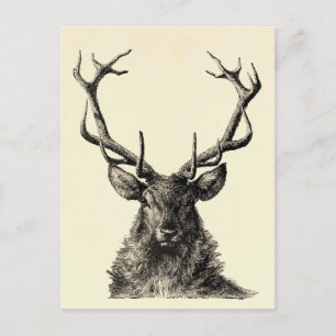 Stag Print, Deer Print, Vintage, Scandinavian Postcard