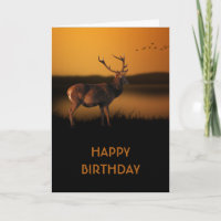 Stag Sunrise Misty Morning Deer Personalised