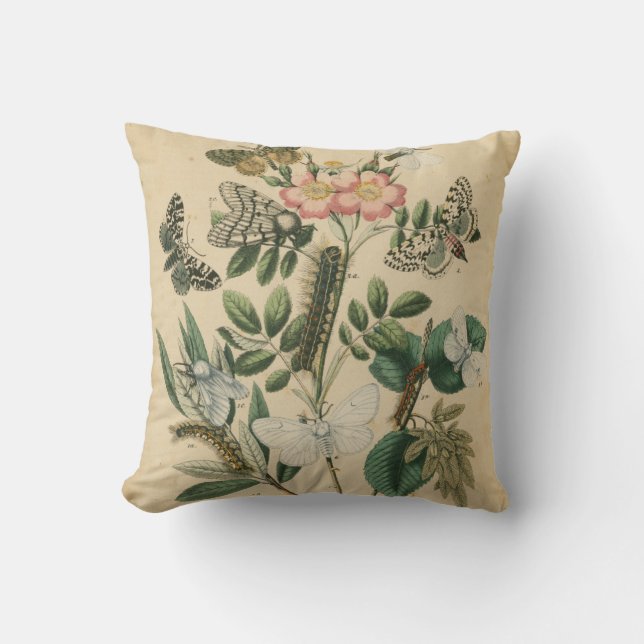 Stages of Butterfly Life by Vision Studio Cushion (Front)