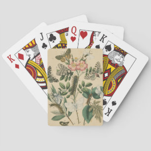 Stages of Butterfly Life by Vision Studio Playing Cards