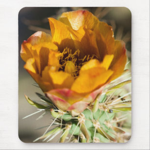 Staghorn Cholla Blossom Mousepad