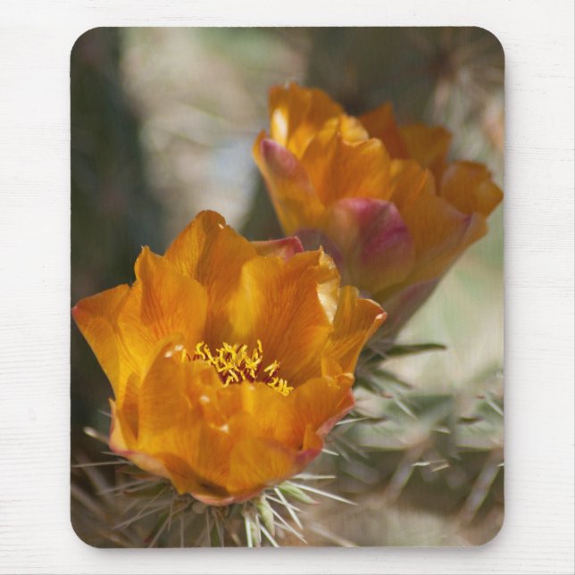 Staghorn Cholla Cactus Blossoms Mousepad (Front)