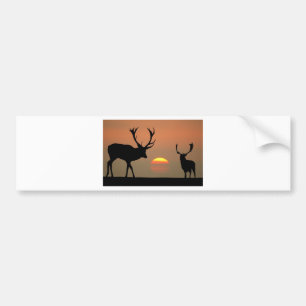 stags sunset.jpg bumper sticker