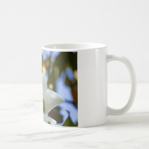Stained Glass Sky Southern Magnolia Gifts Apparel Coffee Mug