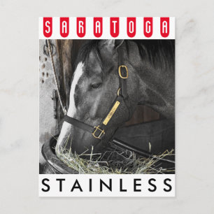 Stainless by Flatter Postcard