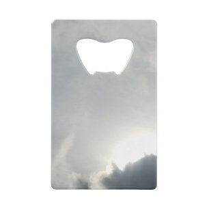 Stainless Steel Bottle Opener