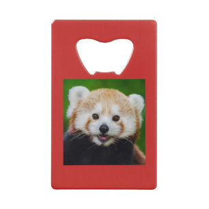 Stainless Steel Bottle Opener RED PANDA/INITIAL