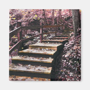 stairs dreamscape magnet