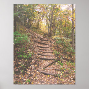 Stairs Into The Forest Poster