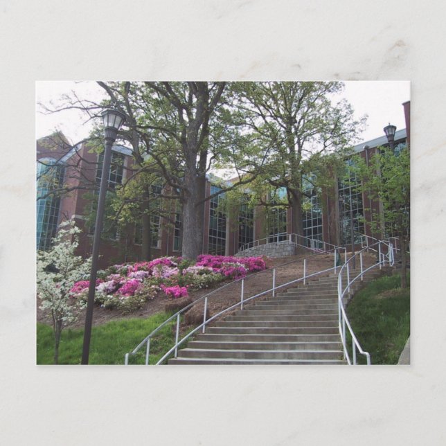 Stairs Leading Towards The Bio-Medical Building At Postcard (Front)