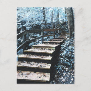 stairs nightscape postcard