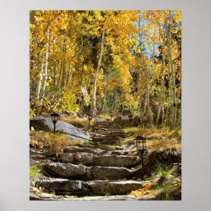 "Stairway to Autumn", Quaking Aspen, Portrait Poster