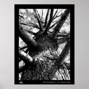 Stairway to Heaven Poster